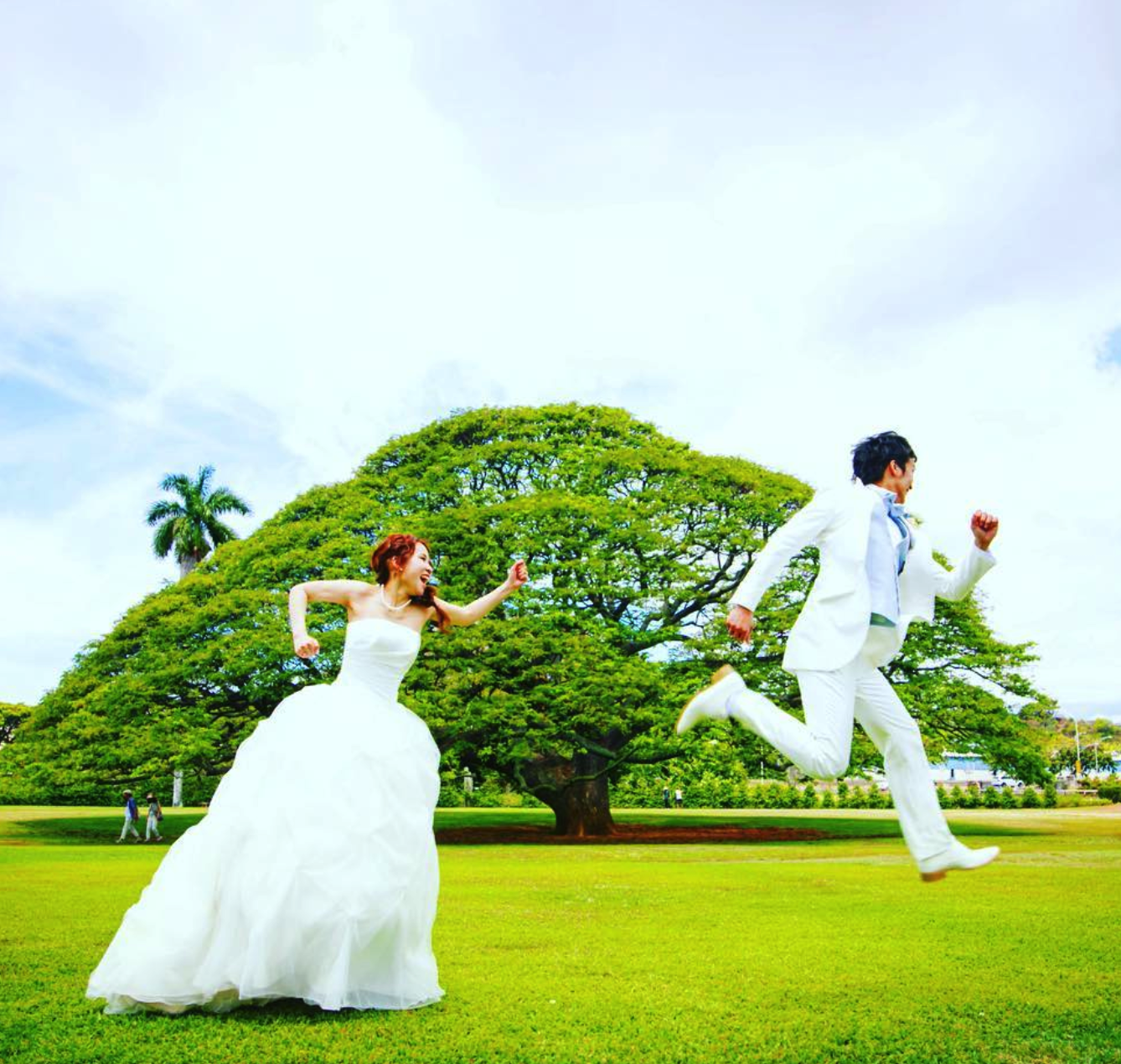 WEDDINGS & EVENTS | Create Memorable Moments — Reserve Today
